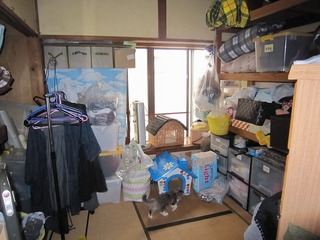 IMG_3783.jpg